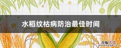 水稻纹枯病用什么药防治 水稻纹枯病防治最佳时间