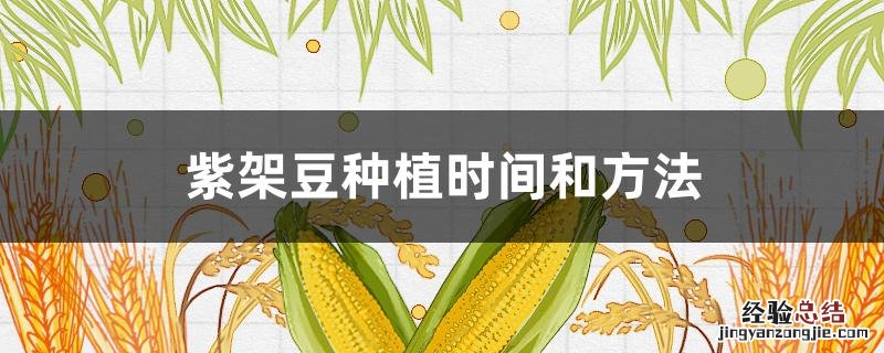 紫豇豆种植时间和方法 紫架豆种植时间和方法