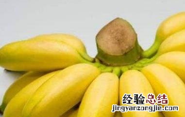 香蕉与香蕉的区别 山蕉和香蕉的区别