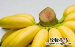 香蕉与香蕉的区别 山蕉和香蕉的区别