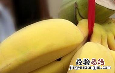 香蕉与香蕉的区别 山蕉和香蕉的区别