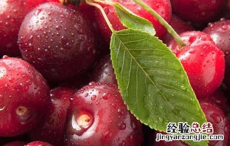 自制樱桃酒的做法 自制樱桃酒的做法视频