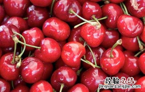 自制樱桃酒的做法 自制樱桃酒的做法视频