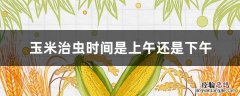 打玉米虫药什么时间好 玉米治虫时间是上午还是下午