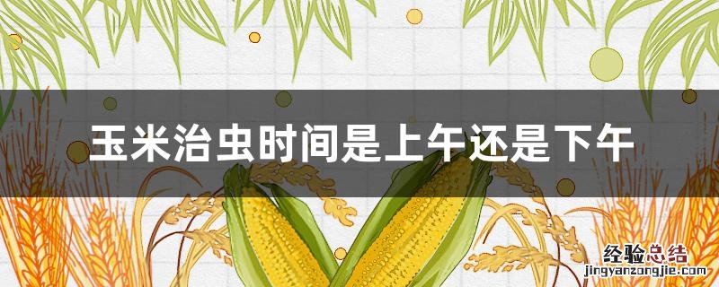 打玉米虫药什么时间好 玉米治虫时间是上午还是下午