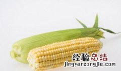 葛根鸡蛋玉米饼怎么做 葛根鸡蛋玉米饼的做法步骤