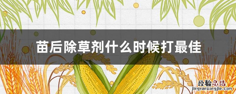 苗后除草剂什么时候打最佳 苗后除草剂上午打好还是下午打好