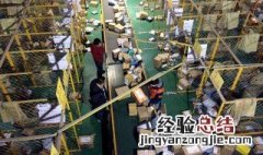物流行业中包含哪些工作? 看这里