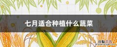 浙江七月适合种植什么蔬菜 七月适合种植什么蔬菜