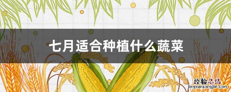 浙江七月适合种植什么蔬菜 七月适合种植什么蔬菜