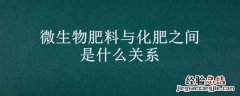 微生物肥料与化肥之间是什么关系 微生物肥料一般具有哪些作用