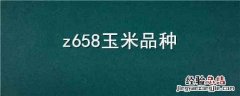 z658玉米品种怎么样 z658玉米品种