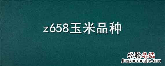 z658玉米品种怎么样 z658玉米品种