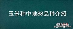 玉米种中地88品种介绍 玉米中地88春种
