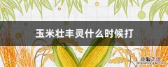 玉米壮丰灵啥时打最好 玉米壮丰灵什么时候打