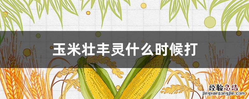 玉米壮丰灵啥时打最好 玉米壮丰灵什么时候打