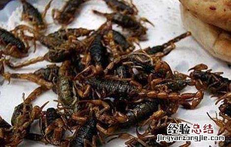 油炸蝎子的做法 油炸蝎子的做法和配方