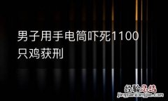 男子用手电筒吓死1100只鸡获刑