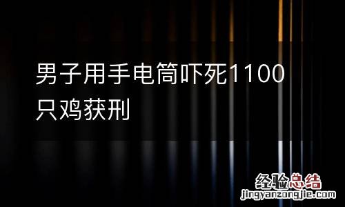 男子用手电筒吓死1100只鸡获刑