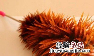 鸡毛毯子还是鸡毛掸子 鸡毛毯子鸡毛掸哪个对