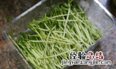 豆苗的功效与作用 豆苗的功效与作用是什么