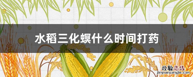 水稻三化螟什么时间打药 水稻二化螟什么时间打药