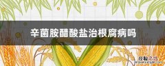 辛菌胺醋酸盐治根腐病吗 辛菌胺醋酸盐防治什么病害