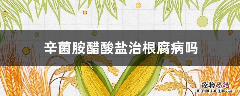 辛菌胺醋酸盐治根腐病吗 辛菌胺醋酸盐防治什么病害