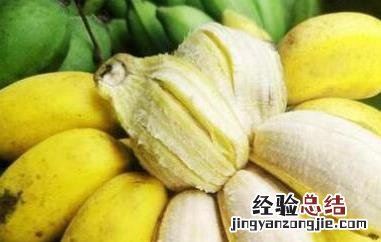 苹果蕉和普通香蕉的区别图片 苹果蕉和普通香蕉的区别