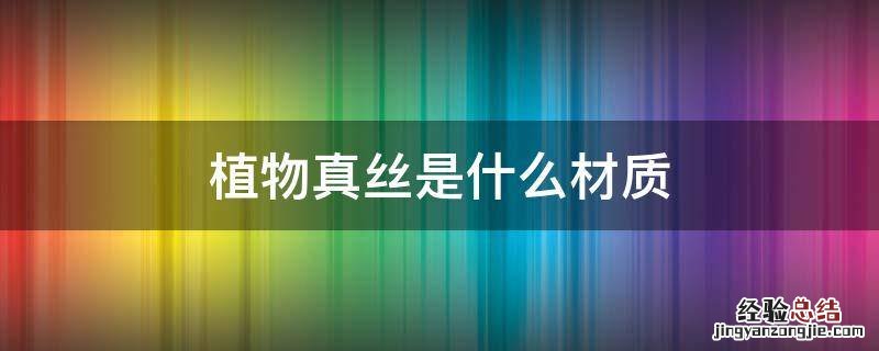 什么叫植物真丝 植物真丝是什么材质