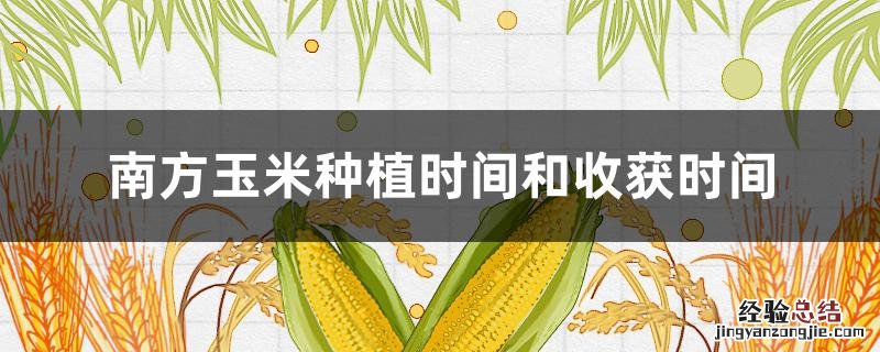南方玉米种植时间和收获时间 南方玉米什么时候收获