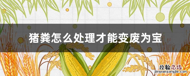 猪粪怎么处理才能过环保 猪粪怎么处理才能变废为宝