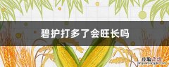 碧护打多了会旺长吗 碧护打多了怎么办