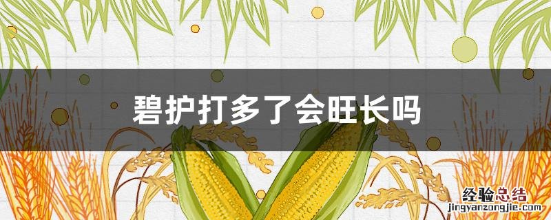 碧护打多了会旺长吗 碧护打多了怎么办