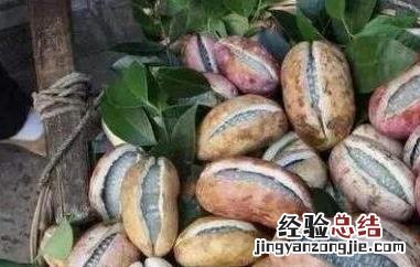 野蕉和食用胶的区别在哪 野蕉和食用胶的区别