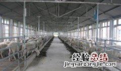 养殖场预混料是什么东西 就是这样