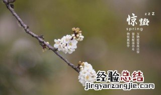 惊蛰的春雷是什么意思 惊蛰的春雷什么意思