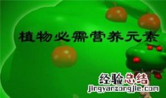 植物所需元素有多少种 植物体内必须的元素有多少种
