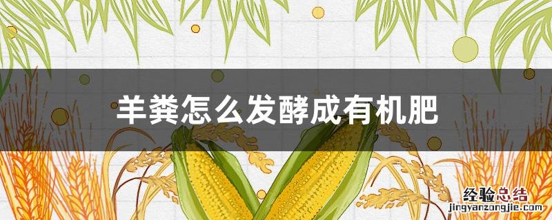 羊粪怎么发酵成有机肥好吗 羊粪怎么发酵成有机肥