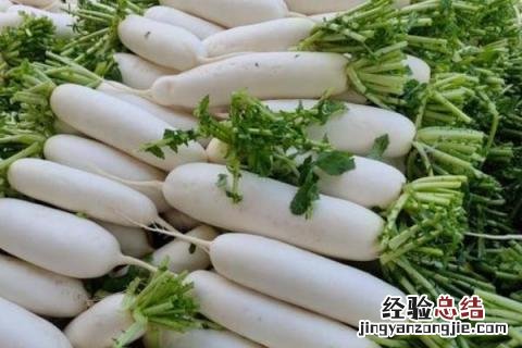 蔬菜有哪些名字 蔬菜有哪些