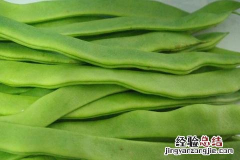 蔬菜有哪些名字 蔬菜有哪些