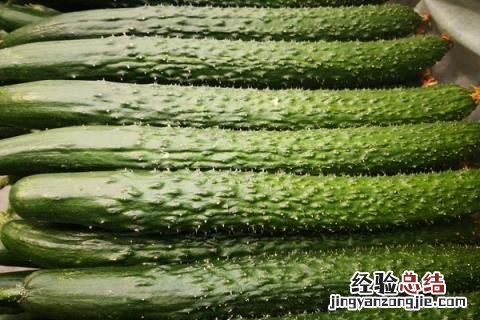 蔬菜有哪些名字 蔬菜有哪些