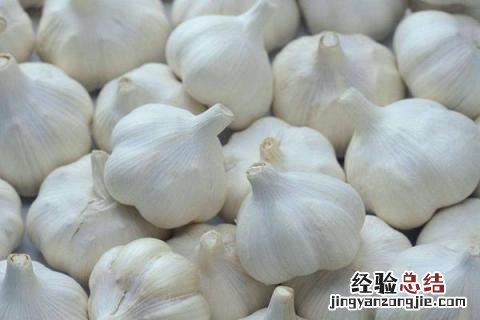 蔬菜有哪些名字 蔬菜有哪些