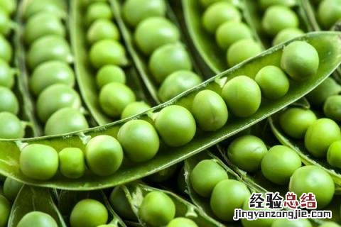 蔬菜有哪些名字 蔬菜有哪些