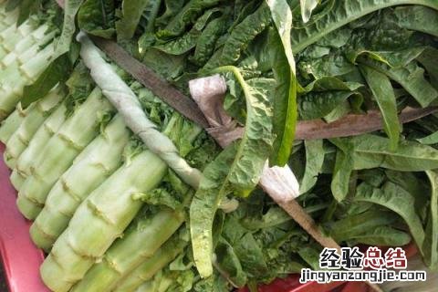 蔬菜的种类 蔬菜的种类有哪些