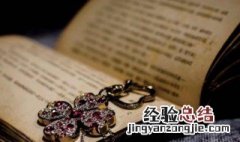 冬天的第一场雪作文 冬天的第一场雪的范文