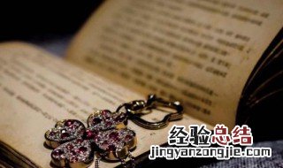冬天的第一场雪作文 冬天的第一场雪的范文