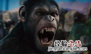 猩球崛起一共有几部?怎么个观影顺序 里面那只猩猩的背景简介
