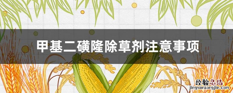 甲基二磺隆除草剂注意事项 甲基二磺隆除草剂注意事项的温度