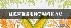 丝瓜种子浸种多长时间 丝瓜育苗浸泡种子时间和方法